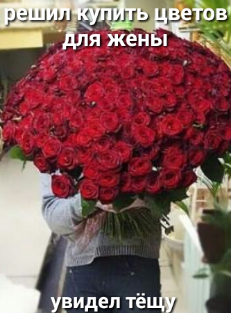 _ ЯЖ ен е Ві Ё_