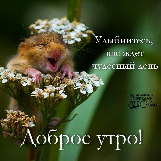 УАыбнитеС Ё