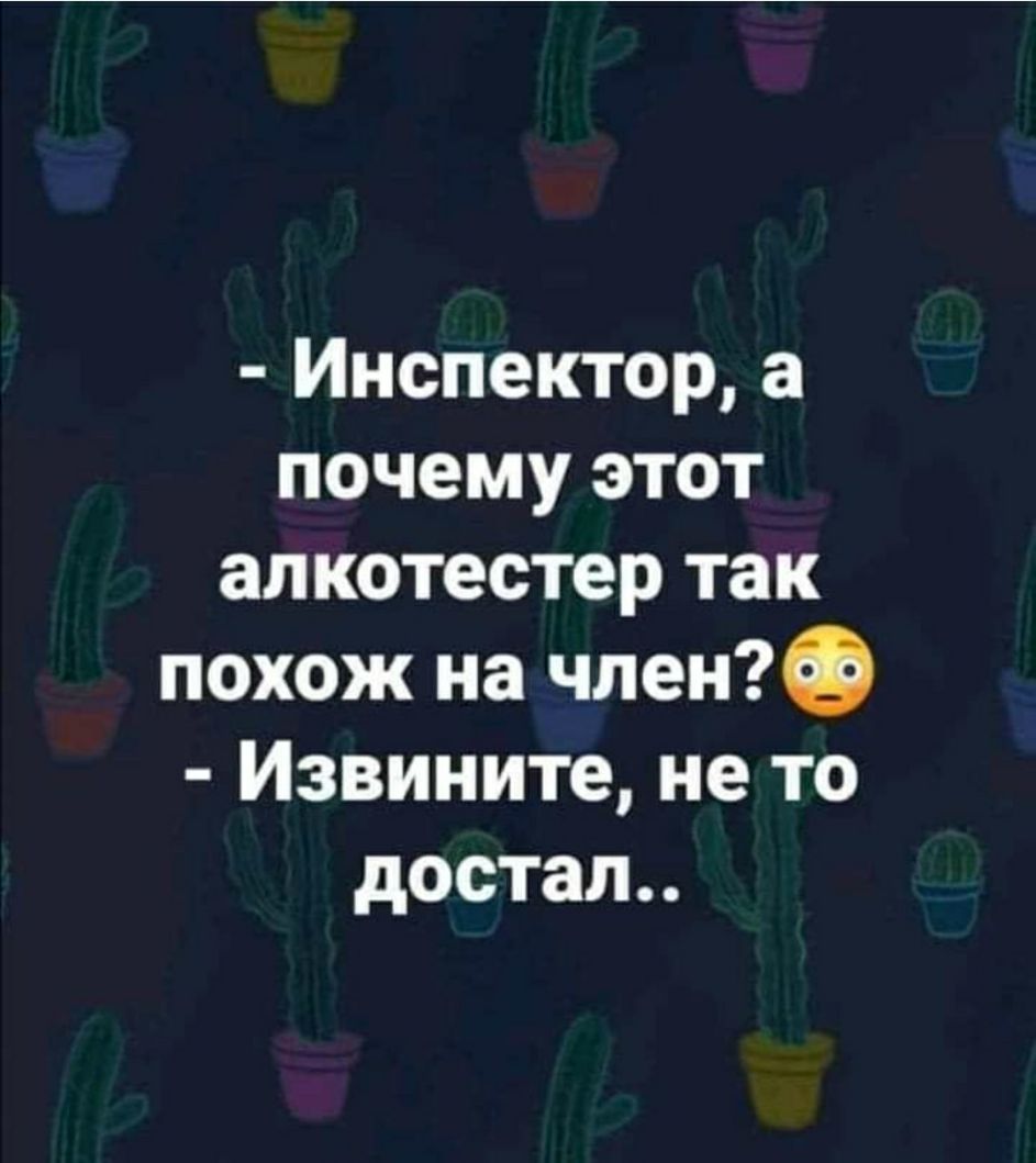 Инспектор а почему этот алкотестер так похож на член Извините не то достал