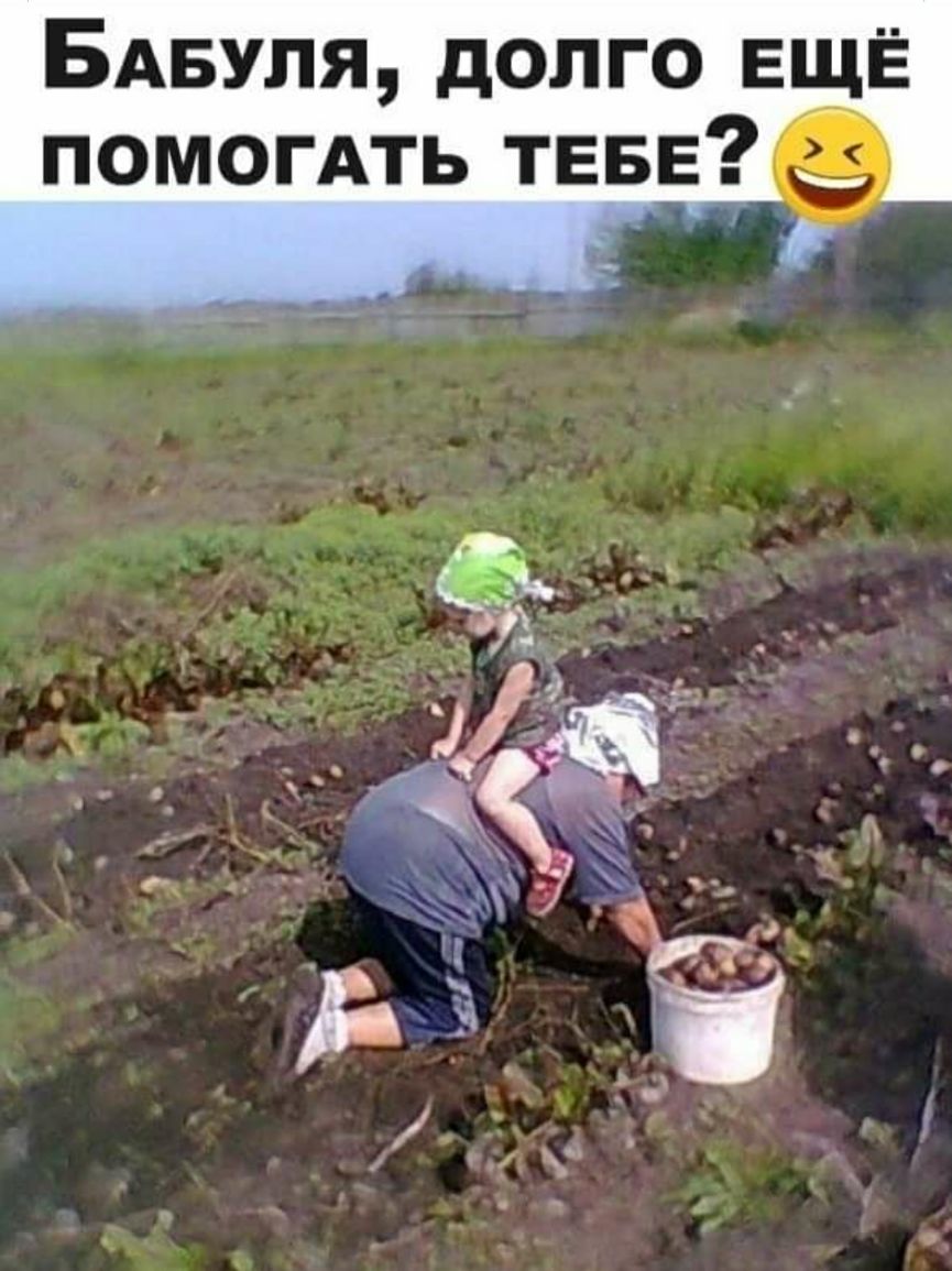 БАБУЛЯ долго ЕЩЁ помогАть ТЕБЕ