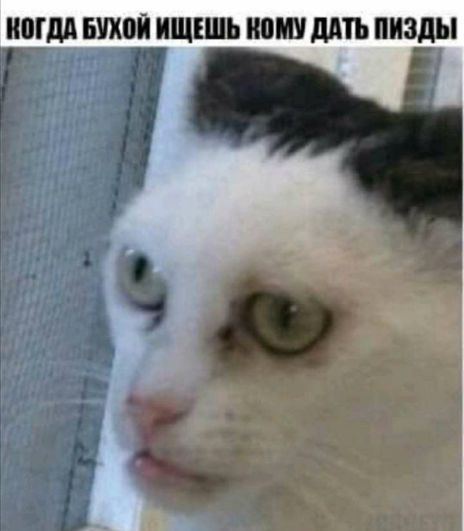 ВШМ БУХОЙ ИЩШЪ ВПШ МП пизды