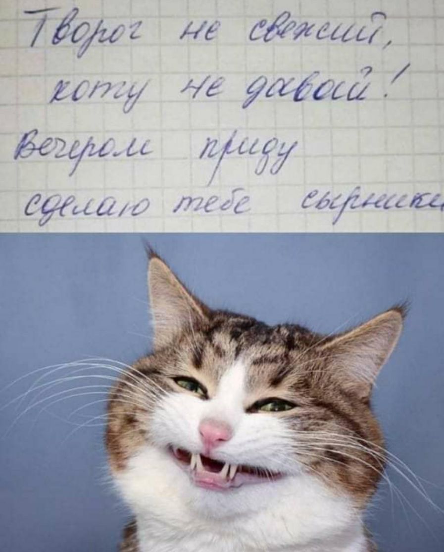 75149 ддт т 714 ад так т 7363716 и км ссЦС ддХі