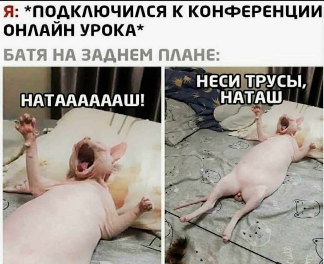 Я ПО_дКЮЧИСЯ К КОНФЕРЕНЦИИ ОНААИН УРОКА