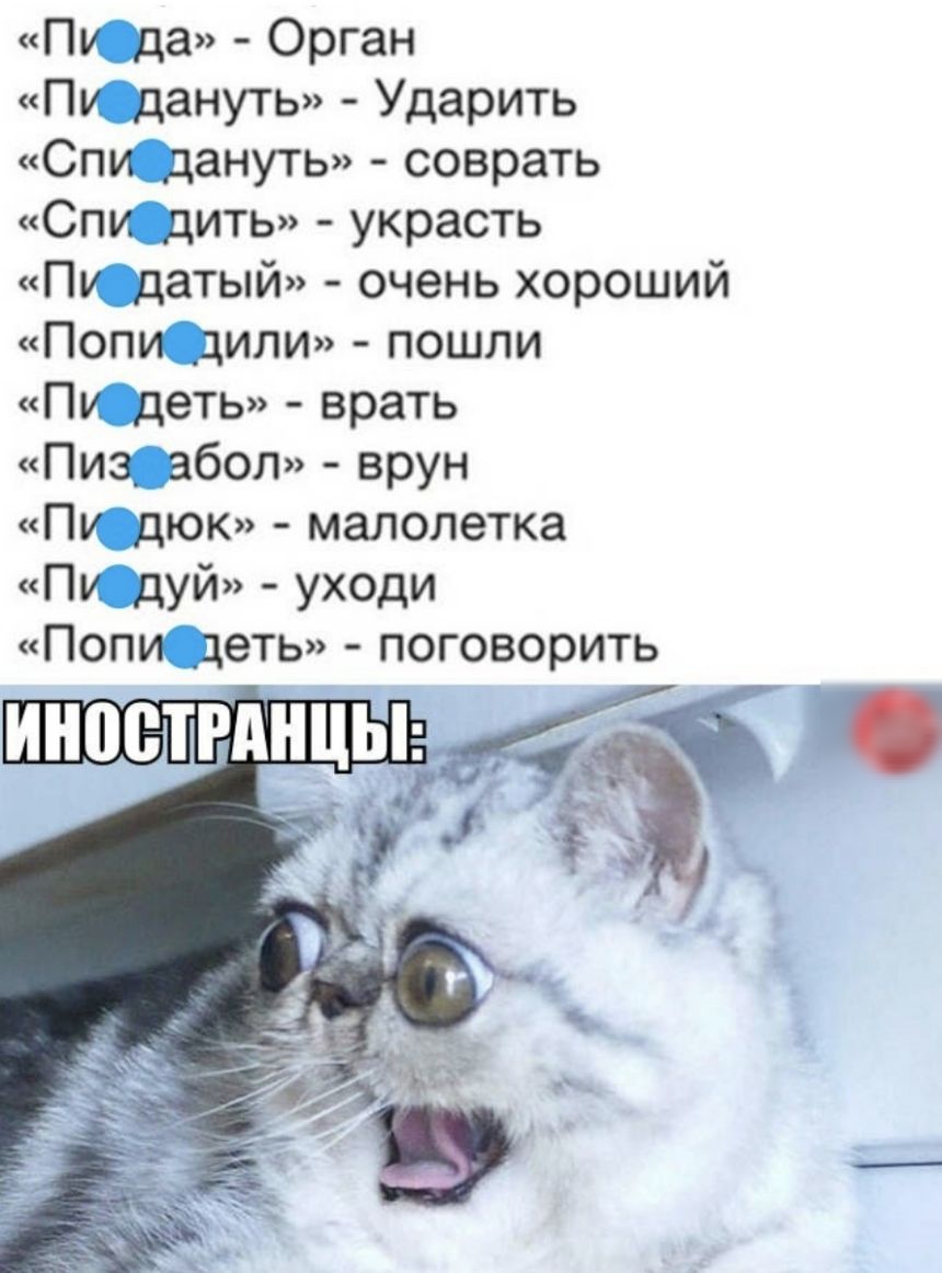 Пу да Орган Пу дануть Ударить Спи дануть соврать Спи дить украсть Пу датый очень хороший Попи дили пошли Пи деть врать Пиз_ абол врун Пу дюк малолетка Пу дуй уходи Попи деть поговорить