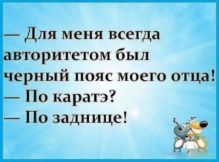 _ Для меня всегда авторитетом был черный пояс моего отца По каратэ По заднице