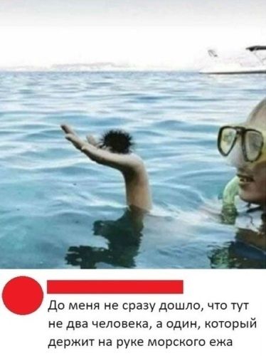 До меня не сразу дошло что тут не два человека а один который держит на руке морского ежа