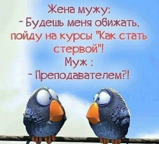 Жена мужу Будешь меня обижать пойду на курсы Как стать стервой Муж Преподавателем
