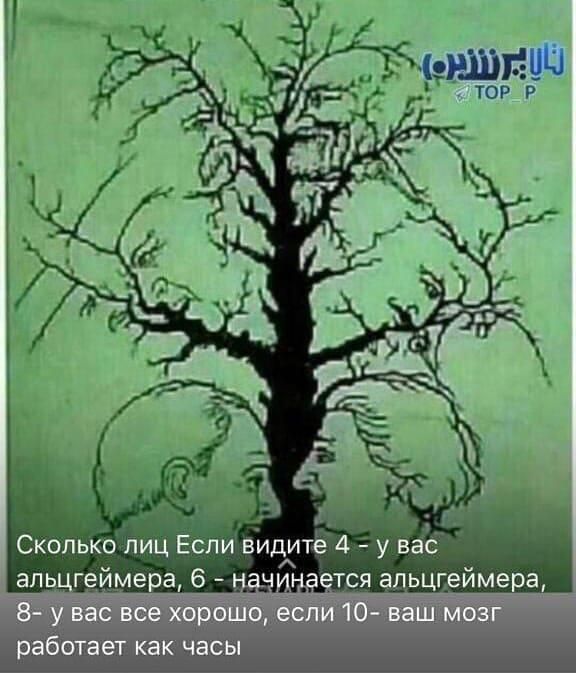 1934 Сколько ііиц Если видитё 42 у Вас _г ймепа 6 __ тся ьцг ймера