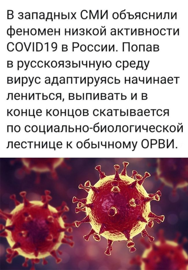 В западных СМИ объяснили феномен низкой активности СОВ19 в России Попав в русскоязычную среду вирус адаптируясь начинает лениться выпивать и в конце концов скатывается по социально биологической лестнице к обычному ОРВИ