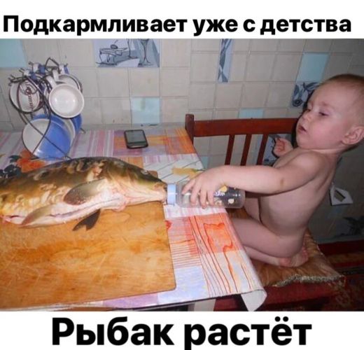 Подкармливает уже с детства Рыбак растёт