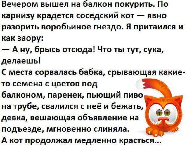 Вечером вышел на балкон покурить По карнизу крадется соседский кот явно разорить воробьиное гнездо Я притаился и как заору А ну брысь отсюда Что ты тут сука делаешь С места сорвалась бабка срывающая какие то семена с цветов под балконом паренек пьющий пиво на трубе свалился с неё и бежать девка вещающая объявление на подъезде мгновенно слиняпа А кот продолжал медленно красться