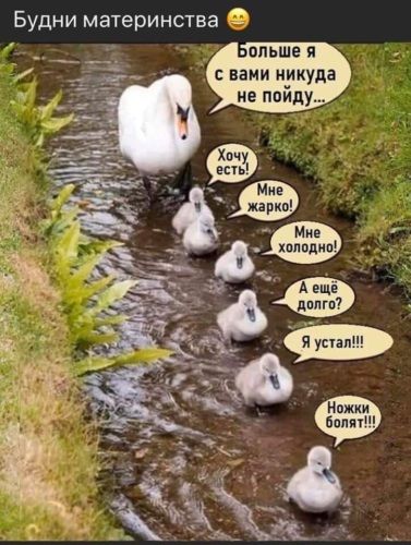 Будни материнства 3 ныне и с вами никуда не типу ние хплодип А еще Мож