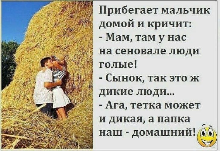 Прибегает мальчик домой и кричит Мам там у нас на сеновале люди голые Сынок так это ж дикие люди Ага тетка может и дикая а папка наш домашний