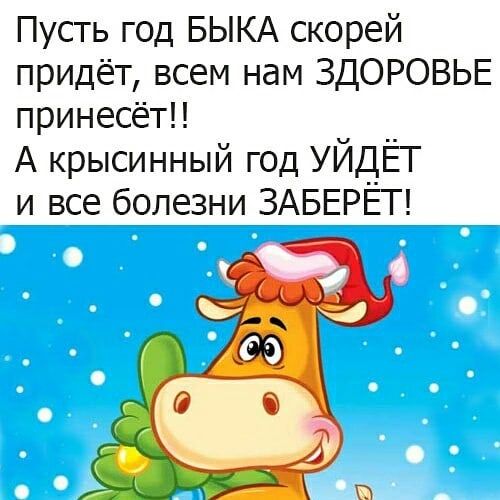 Пусть год БЫКА скорей придёт всем нам ЗДОРОВЬЕ принесёт А крысинный год УЙДЁТ и все болезни ЗАБЕРЁТ