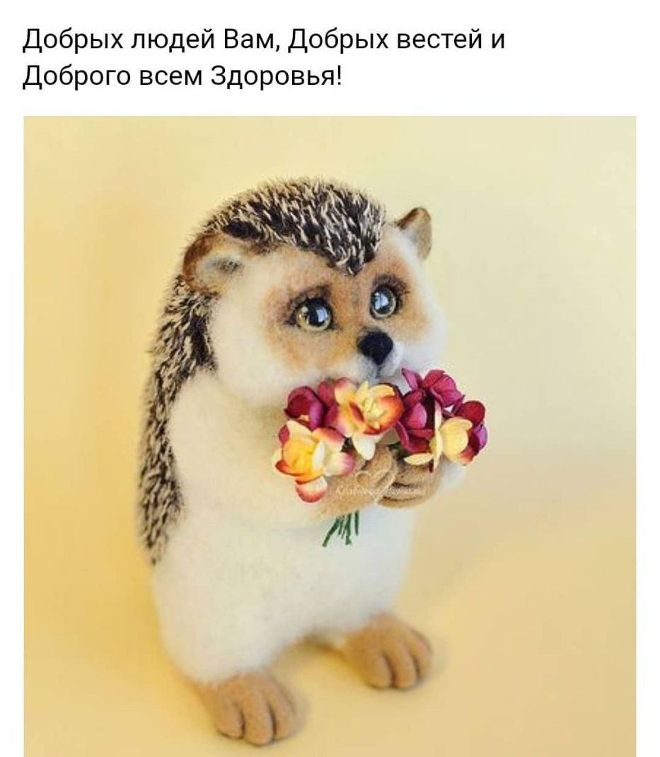 Добрых людей Вам Добрых вестей и Доброго всем Здоровья