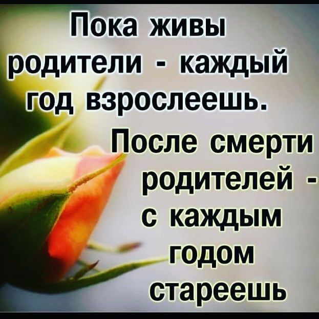Пока живы родители каждый год взрослеешь После смерти родителей с каждым г0дом стареешь