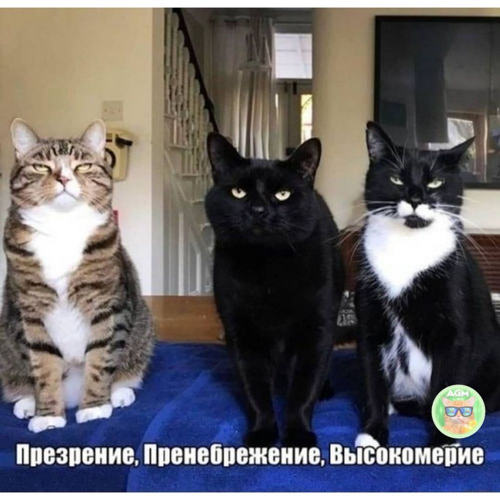 М писавшие ппеивбпежвние Вьюоиомепис
