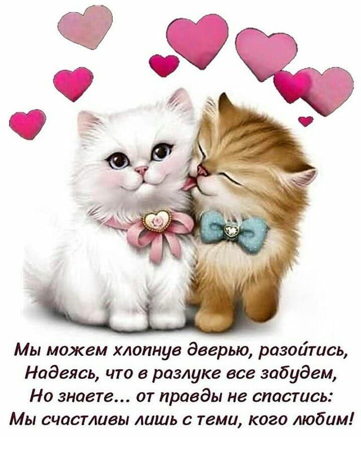 Мы можем хлопнув дверью разойтись Надеясь что в разлуке все забудем Но знаете от правды не спастись Мы счастливы лишь с теми кого любим