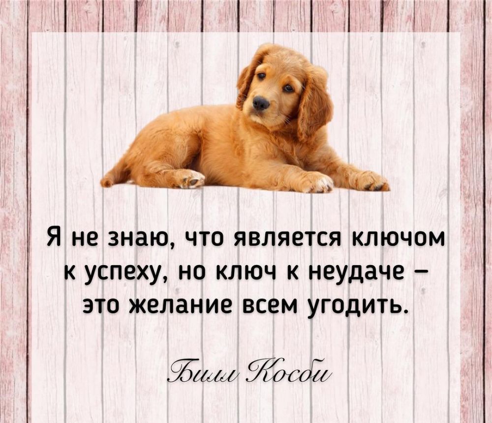 У ЧЁ Г П Я НЕ ЗНЗЮ ЧТО ЯВЛЯЕТСЯ КЛЮЧОМ К УСПЕХУ НО КЛЮЧ К неудаче _ ЭТО желание ВСЕМ УГОдИТЬ