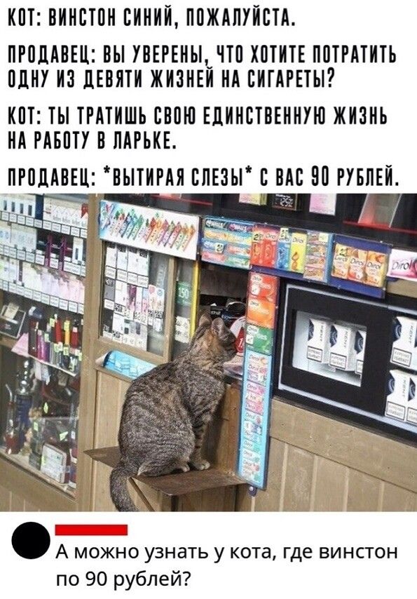 ИПТ ВИНБТПН ВИНИИ ППЖАЛУИБТИ ПРПДАБЕЦ ВЫ УВЕРЕНЬ_ЧТП ХПТИТЕ ППРАТИТЬ МНУ ИЗ дЕНИТИ ЖИЗНЕИ НА ВИГАРЕТЫ ИПТ ТЫ ТРАТИШЬ ЦЕПИ ЕДИНСТВЕННУЮ ЖИЗНЬ НА РАБПТУ В МРЬИЕ ПРПЦАВЕЦ БЫТИРАИ ВЛЕЗЫ В НАС НН РУБЛЕЙ А можно узнать у кота где винстон по 90 рублей