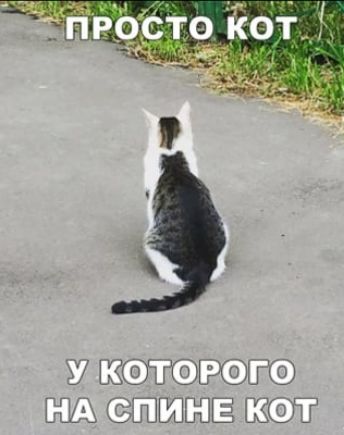 __ ть что Ё6 34 537 ШСФЁТФЩФШТФ Ш ШЩЁПЁ Ё