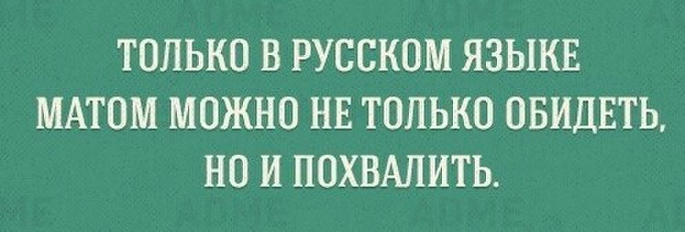 ТОЛЬКО В РУССКОМ ЯЗЫКЕ МАТОМ МОЖНО НЕ ТОЛЬКО ОБИДЕТЬ НО И ПОХВАПИТЬ