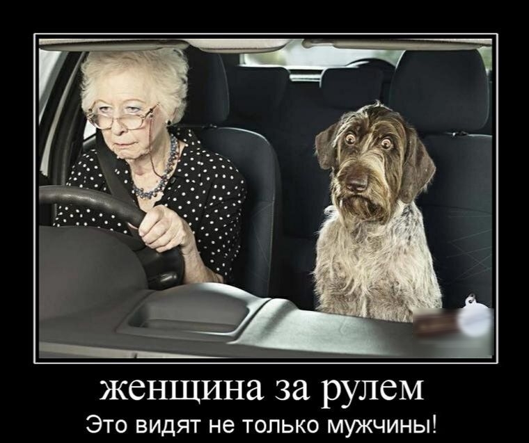 ЖСНЩИНЗ за рулем Это видят не только мужчины