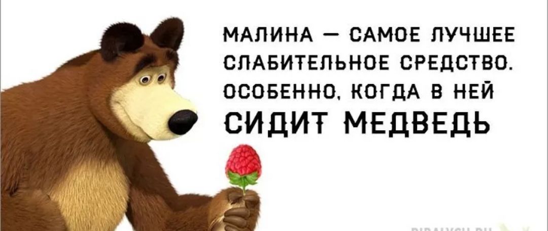 МАЛИНА САМОЕ ЛУЧШЕЕ СЛАБИТЕЛЬНОЕ СРЕДСТВО ОСОБЕННО КОГДА В НЕЙ СИДИТ МЕДВЕДЬ