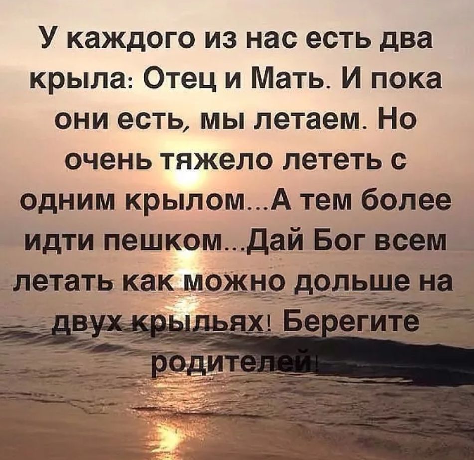У каждого из нас есть два крыла Отец и Мать И пока они есть мы летаем Но очень тяжело лететь с Одним крыломА тем более Идти пешком Дай Бог вегеміі летать как можно дель ч ММ