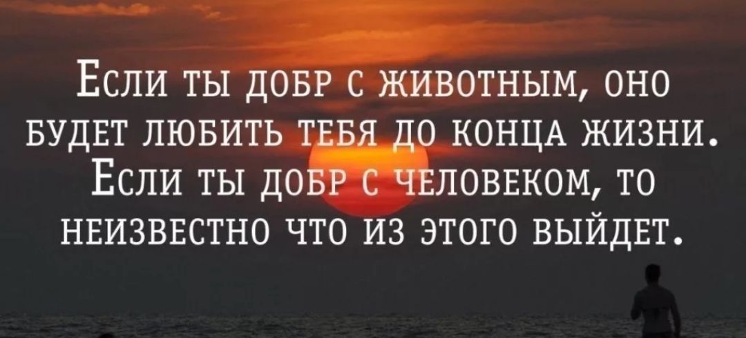 Если тным оно БУДЕТ ЛЮБИТ ОНЦА ЖИЗНИ ЕСЛИ ТЫ ДО ЛОВЕКОМ ТО НЕИЗВЕСТНО ЧТО ИЗ ЭТОГО ВЫЙДЕТ