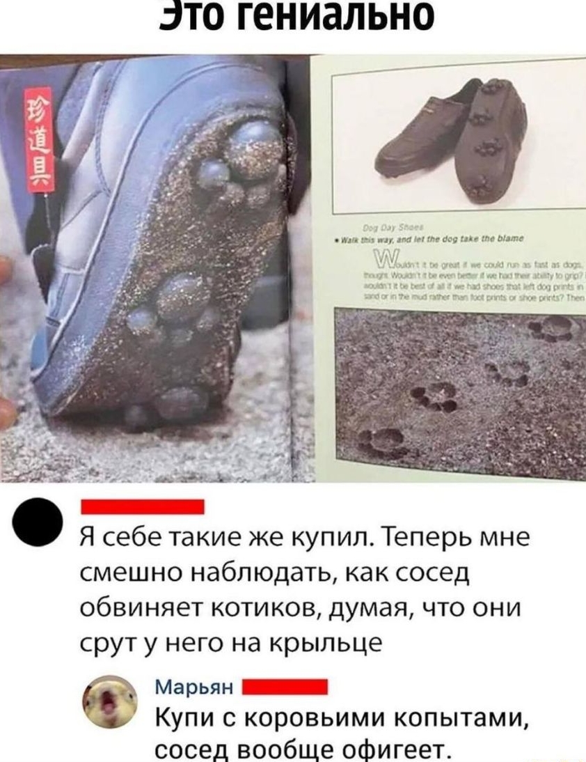 ЭТО гениально _ 45а_ь _ Я себе такие же купил Теперь мне смешно наблюдать как сосед обвиняет котиков думая что они срут у него на крыльце Марьян _ КУПИ С КОРОВЬИМИ копытами сосед вообще офигеет
