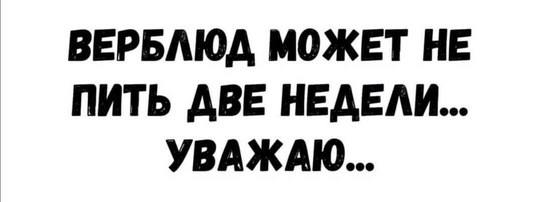 ВЕРБМОА МОЖЕТ НЕ ПИТЬ АВЕ НЕАЕАИ УВАЖАЮ