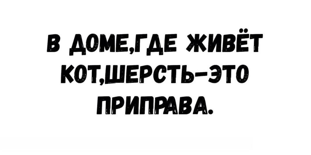 в домвгдв живёт котшврсть это припмвд