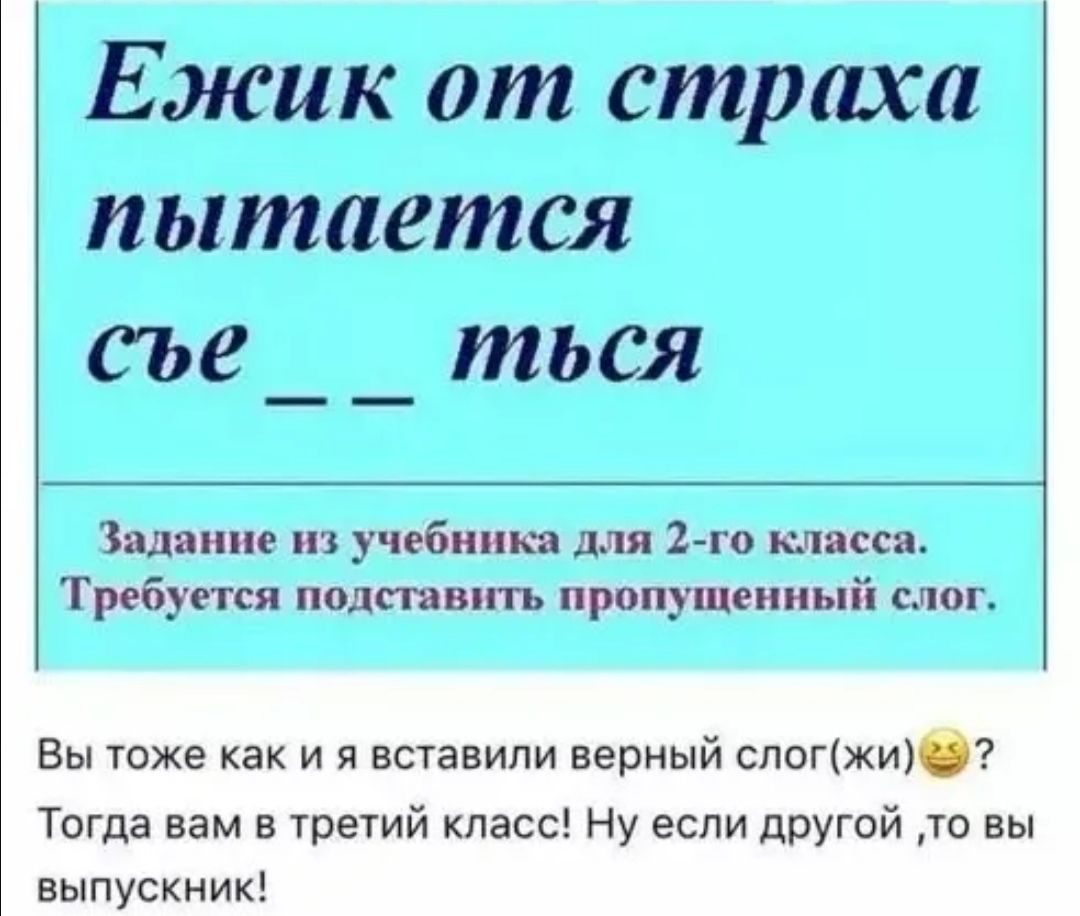 Ежик от страха пытается сье _ ться Задание из учебника для 2 го класса Требуется подставить пропущенный слог Вы тоже как и я вставили верный слогжи0 Тогда вам в третий класс Ну если другой то вы выпускник