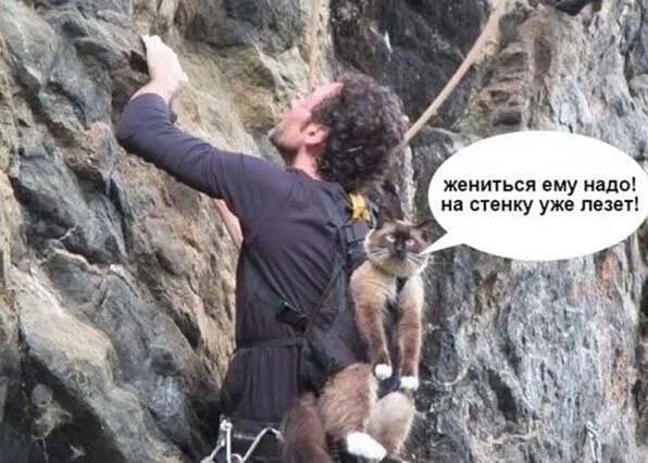 жениться ему надо на стенку уже лезет