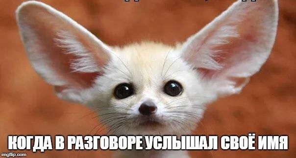 _ в разговор чепышпп своё имя