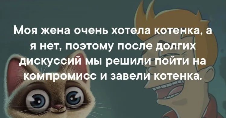 Моя жена очень хотела котенка а я нет поэтому после долгих дИСКУССИЙ мы решили пойти на квипремисс и завели котенка А 1