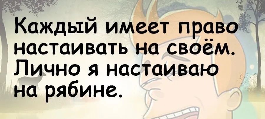 Каждый имеет правоЁ настаивать на своем Лично я настаиваю на рябине