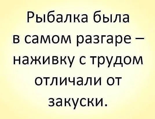 Рыбалка была в самом разгаре наживку с трудом отличали от закуски