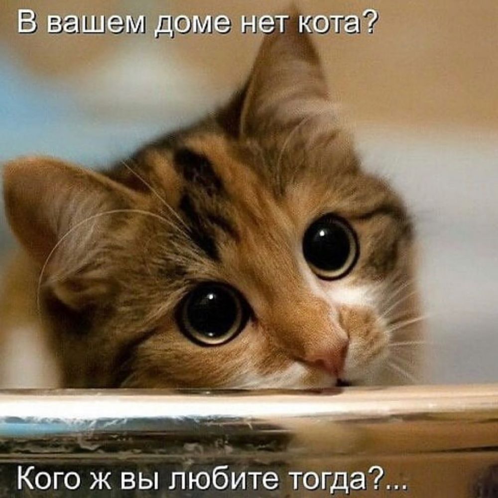 Кого ж вы пЮбите тогда