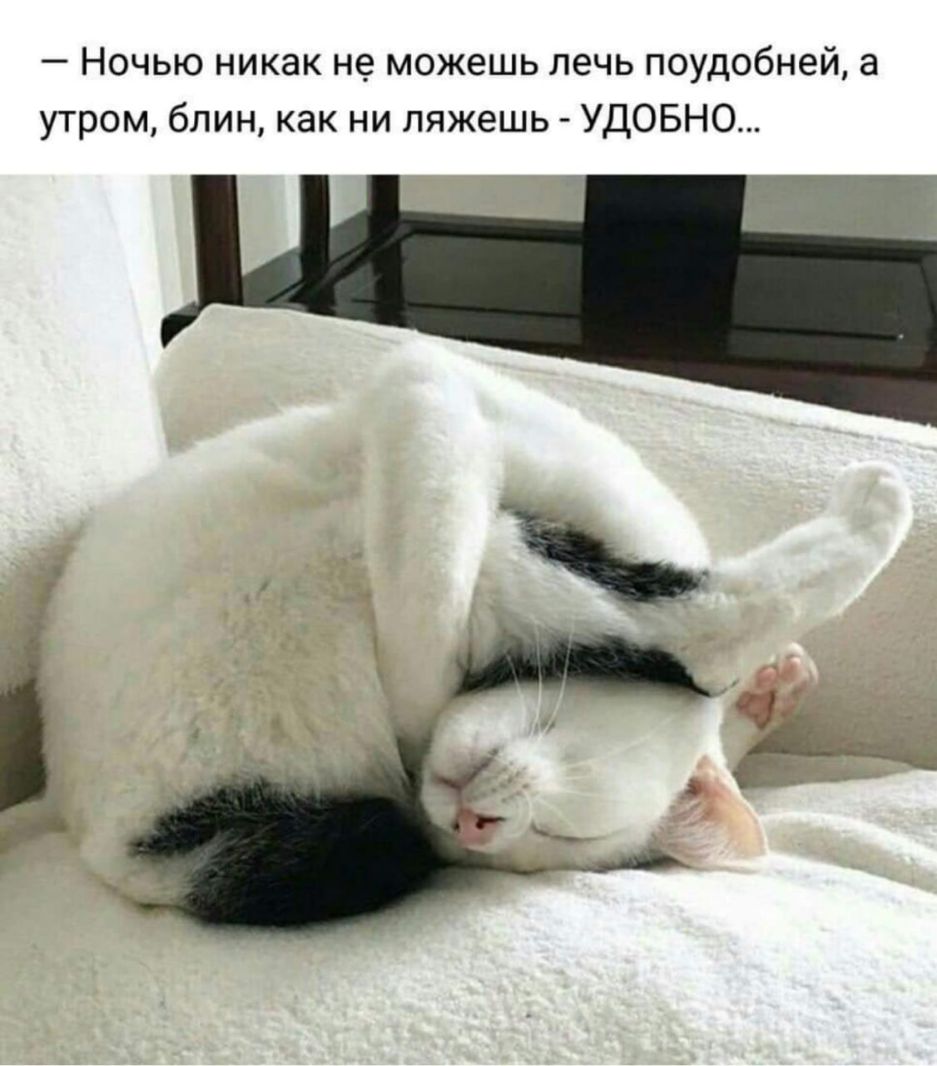 Ночью никак не можешь лечь поудобней а утром блин как ни ляжешь УДОБНО