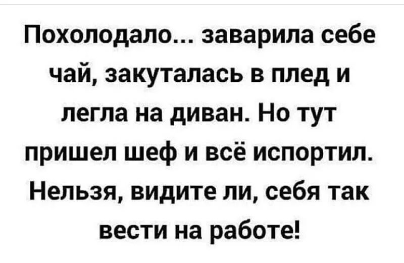 Похолодало заварила себе чай закуталась в плед и легла на диван Но тут пришел шеф и всё испортил Нельзя видите ли себя так вести на работе