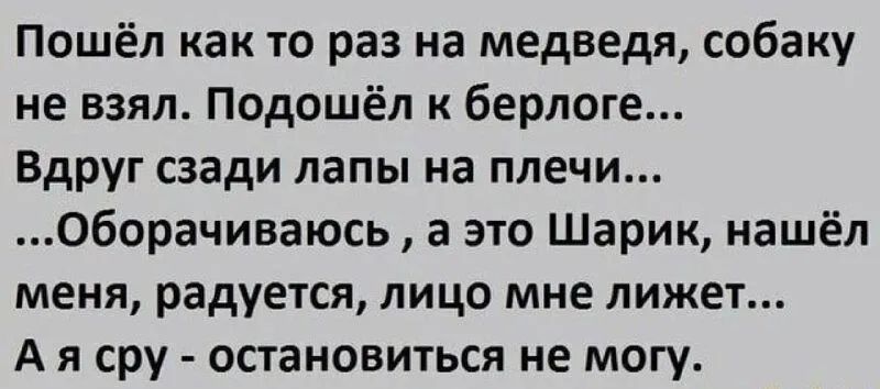 Пошёл как то раз на медведя собаку не взял Подошёл к берлоге Вдруг сзади лапы на плечи Оборачиваюсь а это Шарик нашёл меня радуется лицо мне лижет А я сру остановиться не могу