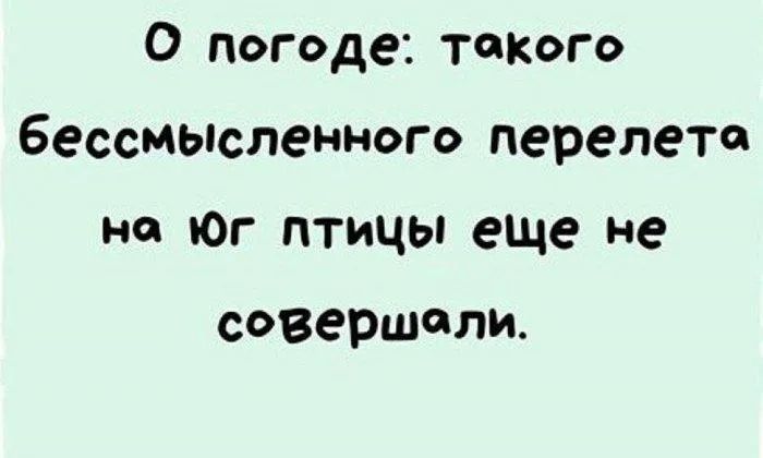 О погоде такого бессмысленного перелете на Юг птицы еЩе не совершали