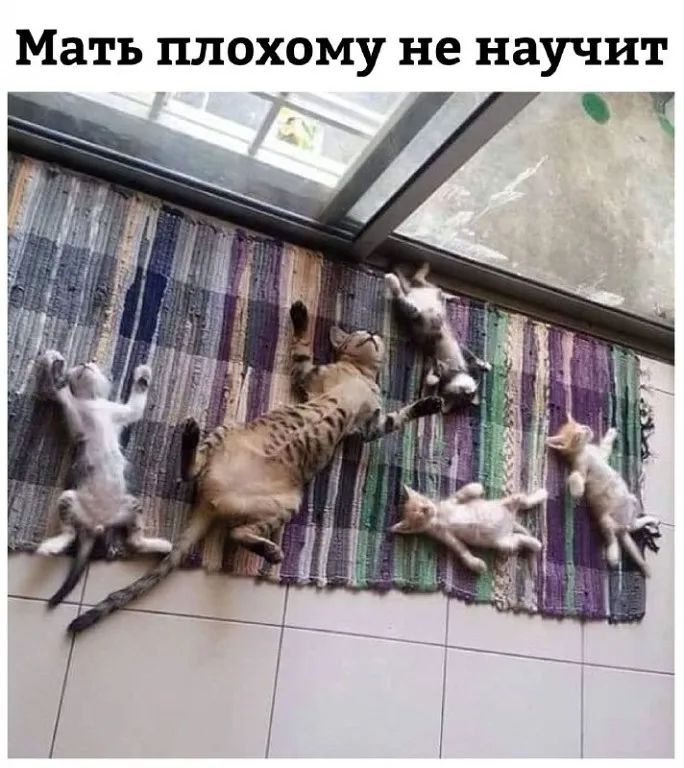Мать плохому не научит _