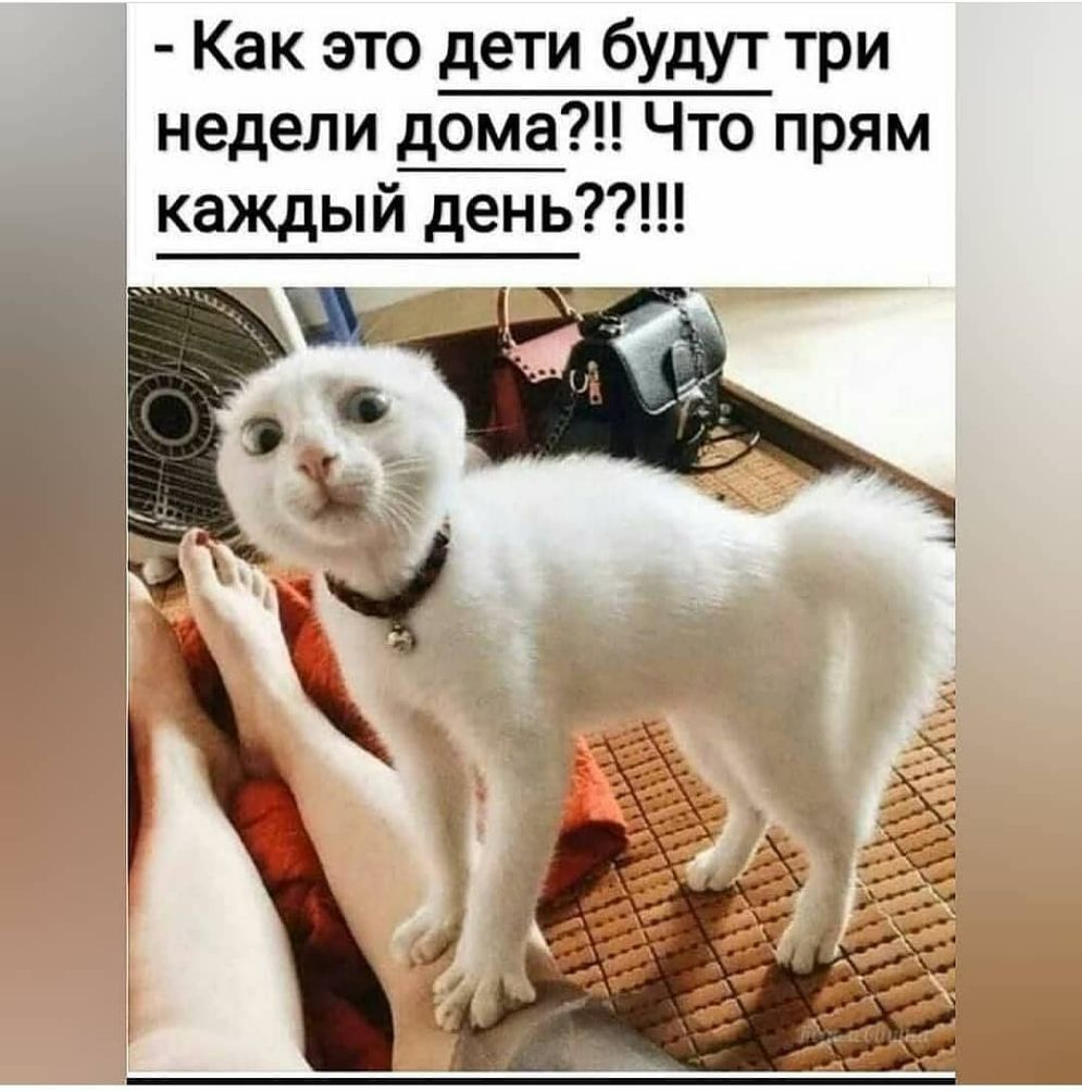 Как это дети будут три недели дома Что прям каждый день
