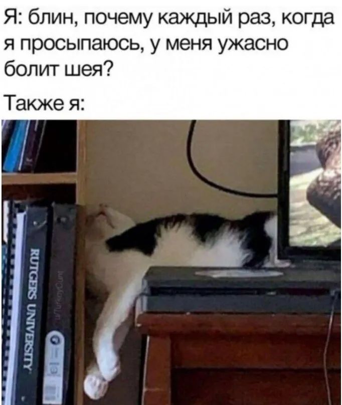 Я блин почему каждый раз когда я просыпаюсь у меня ужасно болит шея Также я
