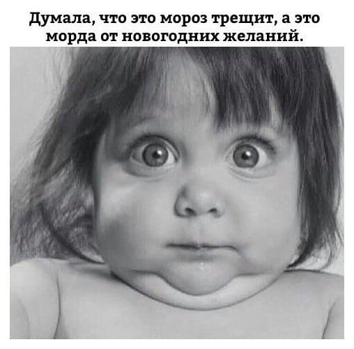 думала что это мороз трещит а это морда от новогодних желаний
