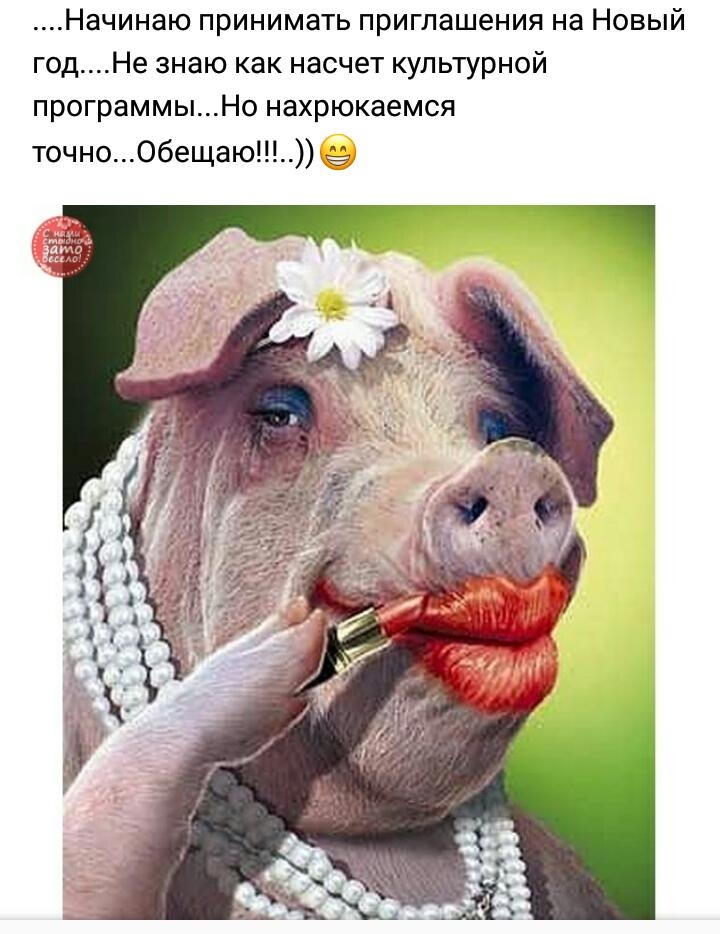 Начинаю принимать приглашения на Новый годНе знаю как насчет культурной программыНо нахрюкаемся точноОбещаю_