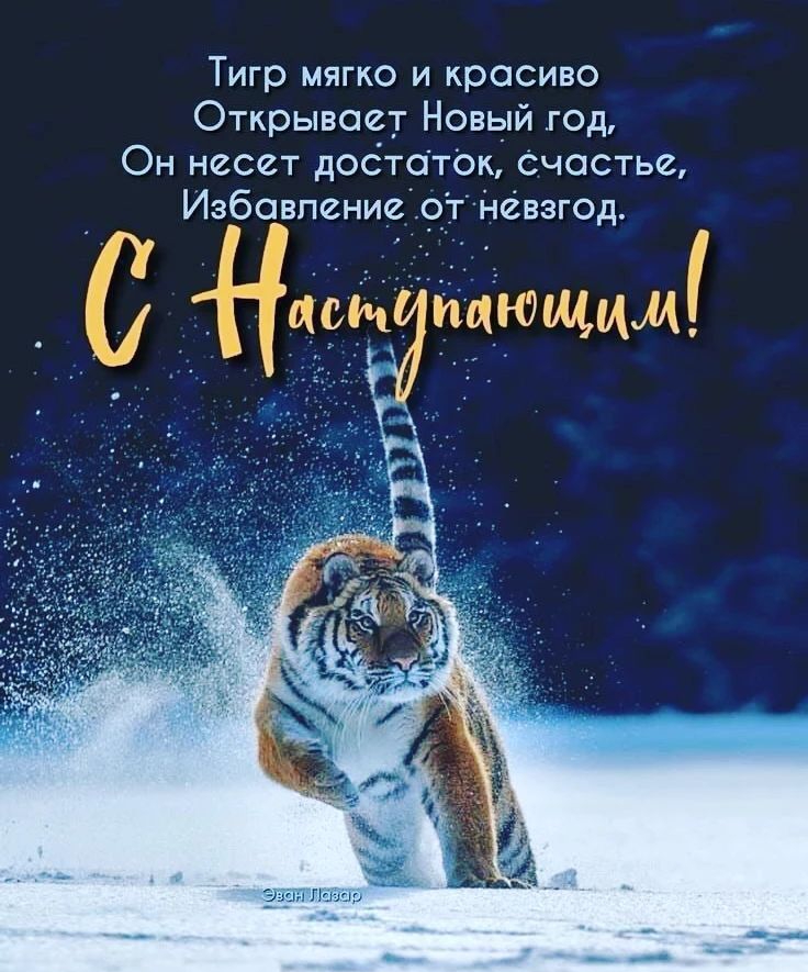 Тигр мягко и красиво Открывает Новый год Он несет достаток Счастье Избавление 9_т невзгод